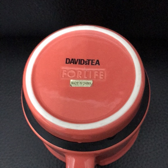 David’s Tea Forlife Stacking  teapot w/ cup & infuser . Used Once! - Picture 6 of 7